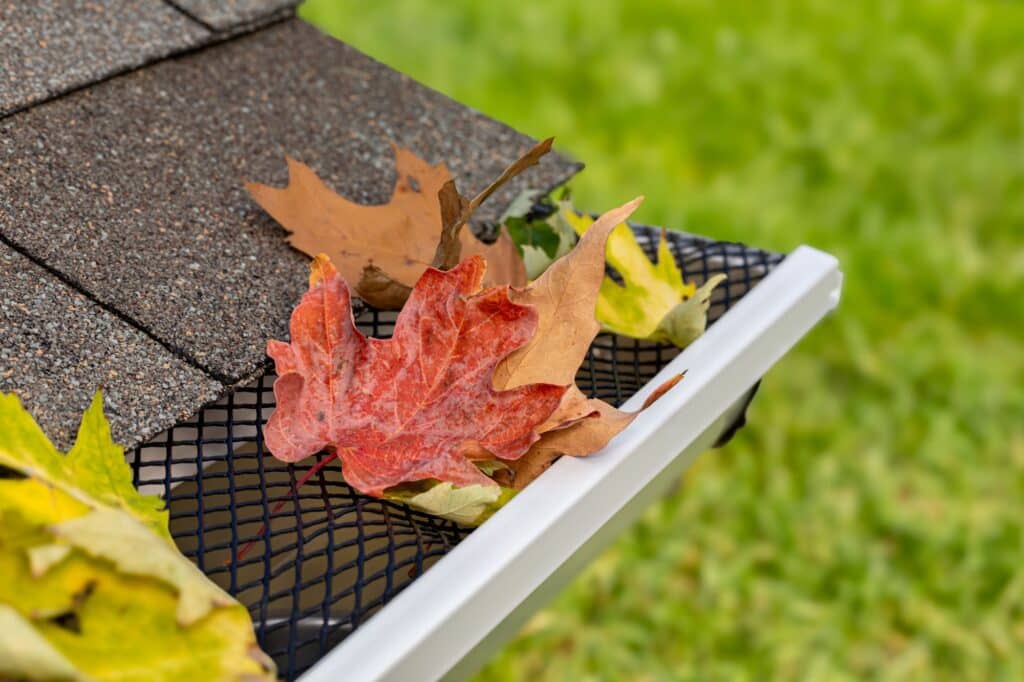 Gutter Services